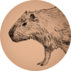 CapyCapy Studio Logo