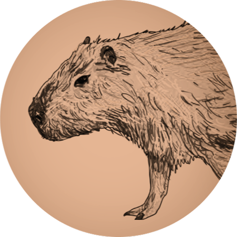 CapyCapy Studio Logo